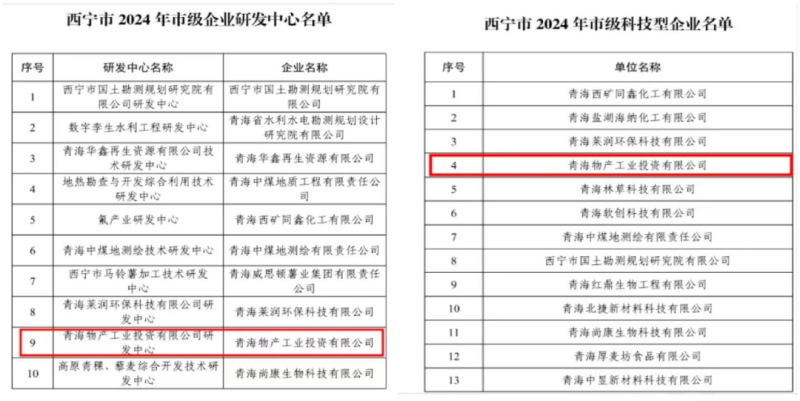 工投公司被西寧市科學技術(shù)局評定為西寧市科技型企業(yè)和西寧市企業(yè)研發(fā)中心