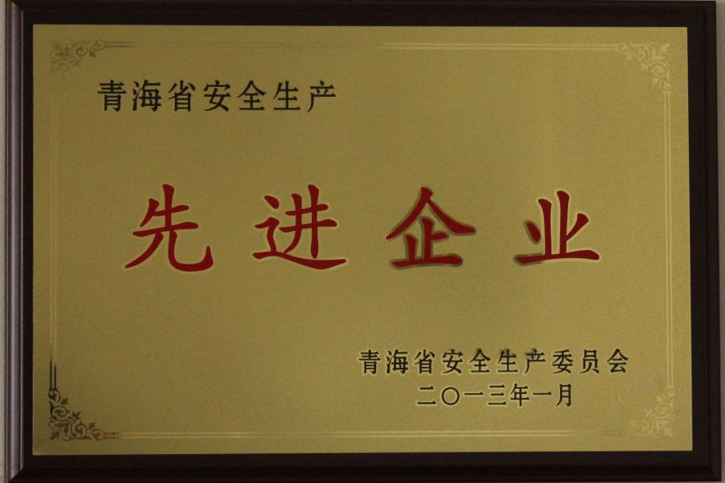 安全生產(chǎn)先進企業(yè)