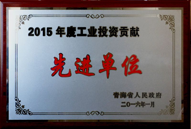 2015年度工業(yè)投資貢獻先進單位